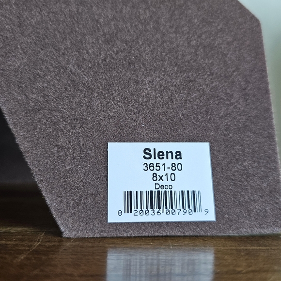 Siena Hand Polished Silverplated Frame Photo Fenwick Island Delaware Aug 2009 - Picture 11 of 15